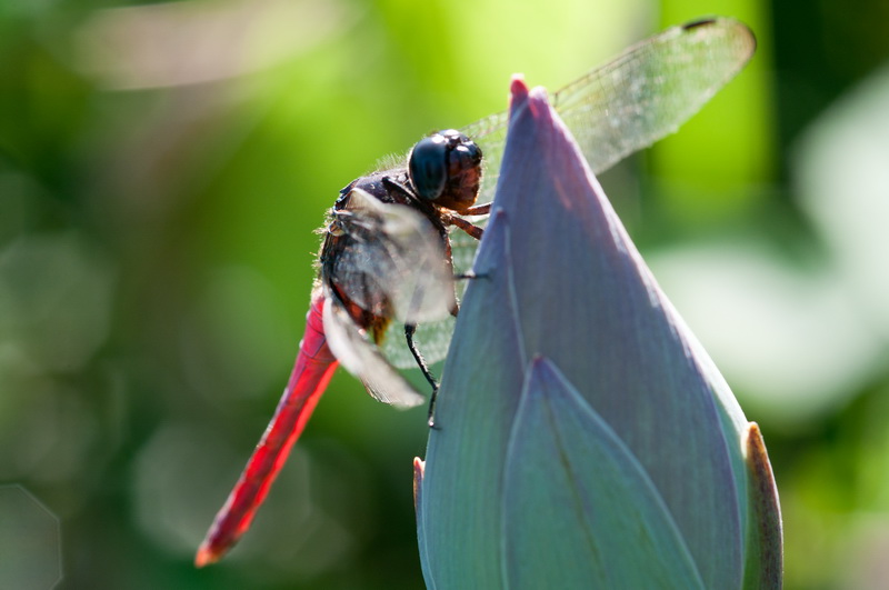_DSC1_调整大小.jpg