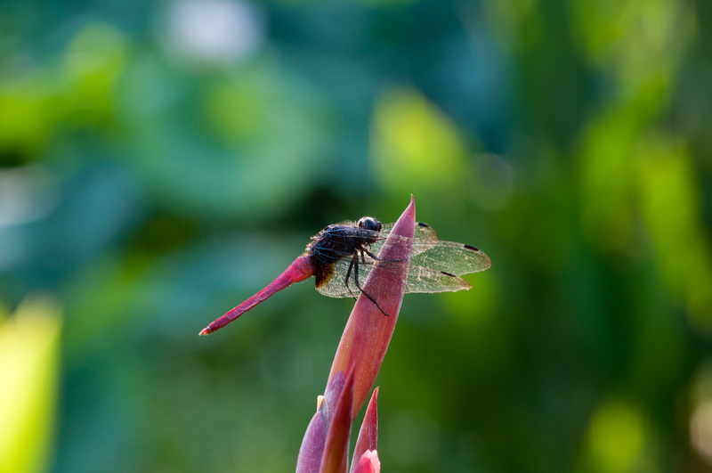 _DSC2_调整大小.jpg