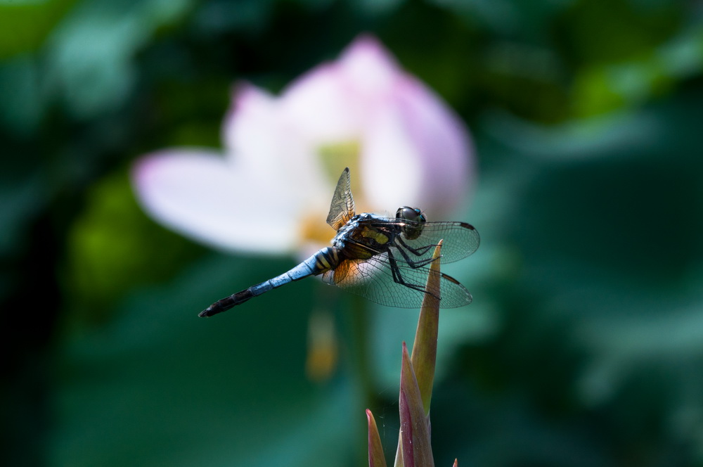 _DSC5_调整大小.jpg