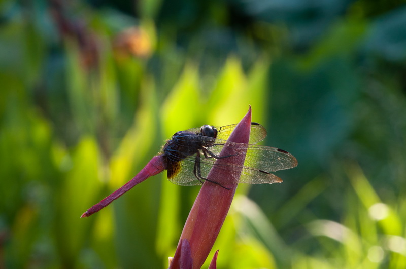 _DSC4_调整大小.jpg