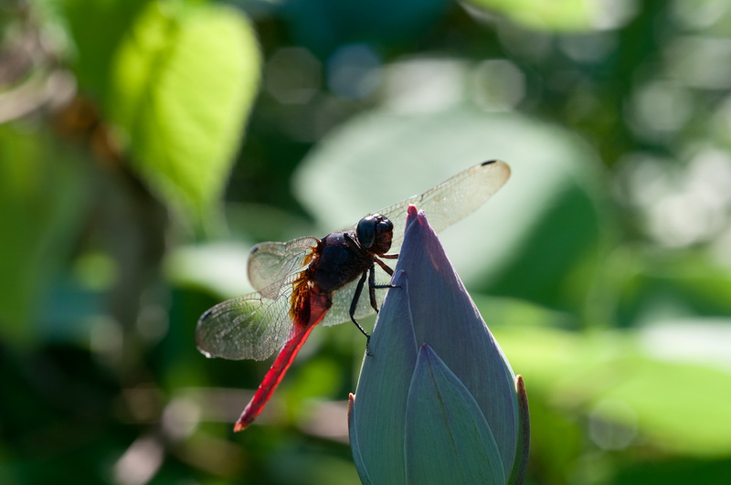 _DSC3_调整大小.jpg