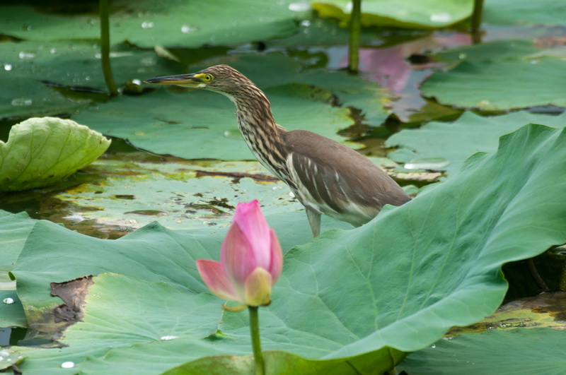_DSC4146_调整大小.jpg