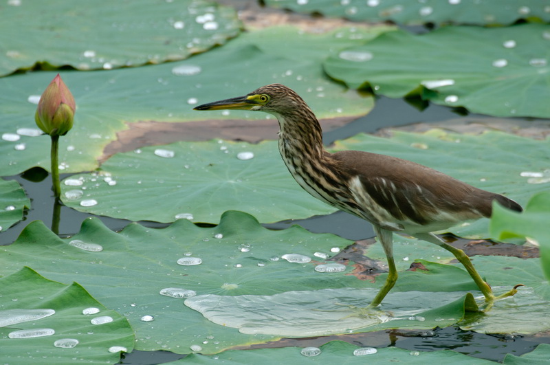 _DSC4151_调整大小.jpg