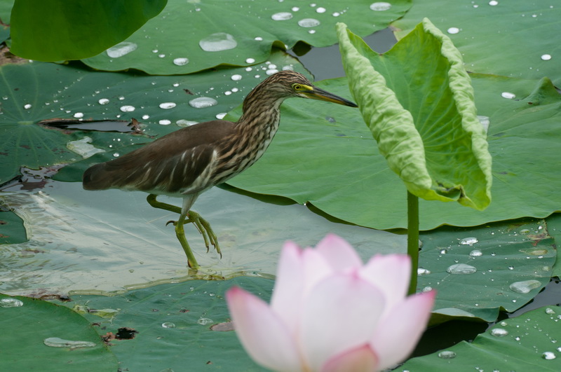 _DSC4167_调整大小.jpg