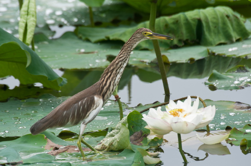 _DSC4223_调整大小.jpg
