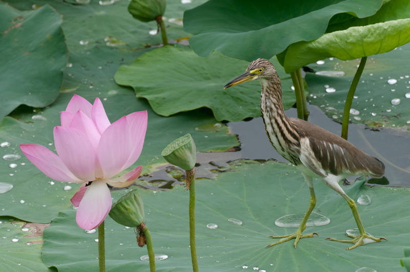_DSC4211_调整大小.jpg