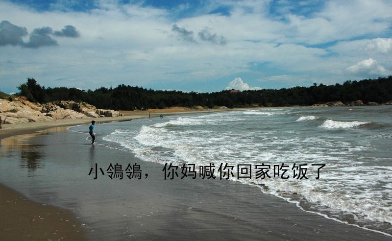 nEO_IMG_小鴒4.jpg
