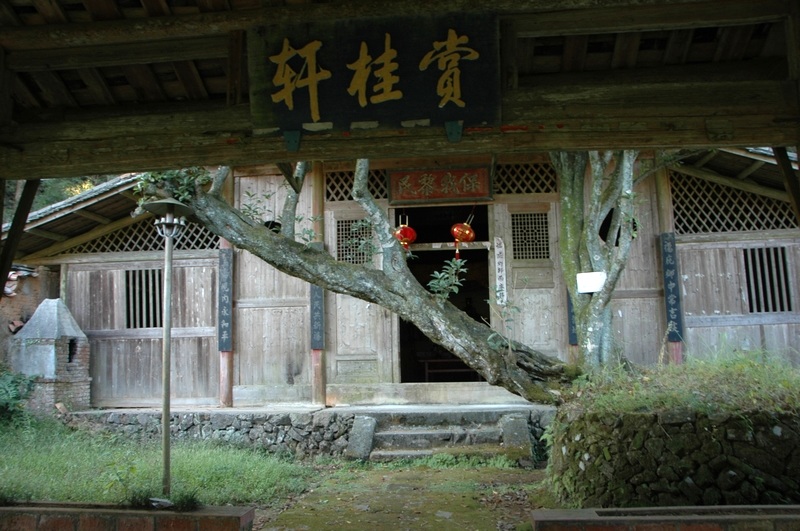 nEO_IMG_DSC_0331.jpg