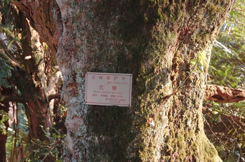 nEO_IMG_DSC_0403.jpg