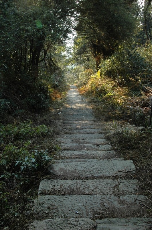 nEO_IMG_DSC_0364.jpg