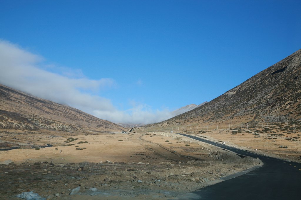 东达山2（小隼图片）.jpg
