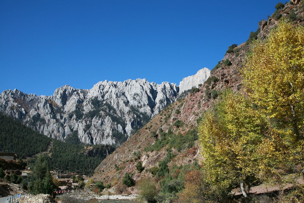 东达山5（小隼图片）.jpg
