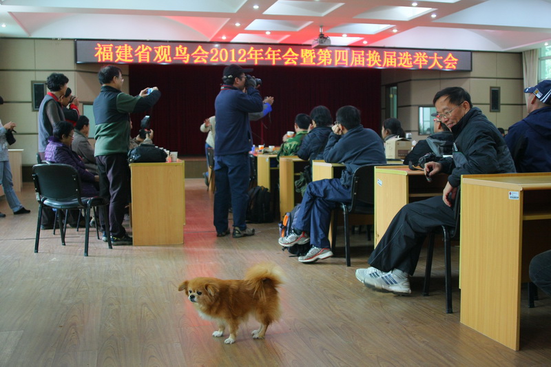 IMG_2166_调整大小.JPG