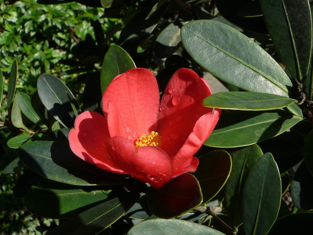 4。