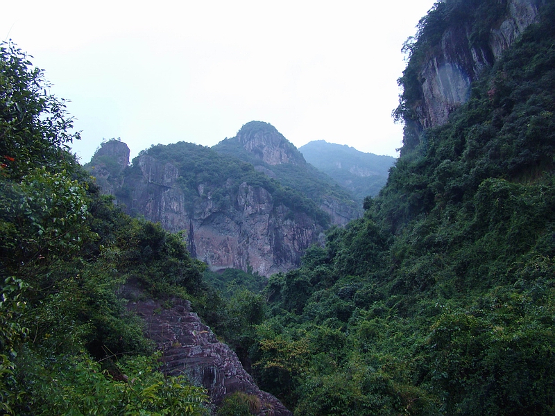 DSC07888.jpg