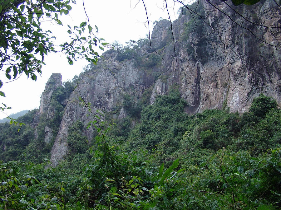 DSC07895.jpg