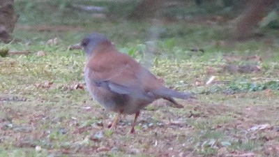 IMG_0764_.jpg