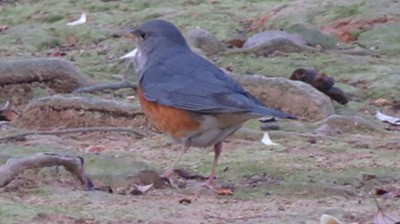 IMG_0766_.jpg