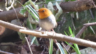 IMG_0828_.jpg