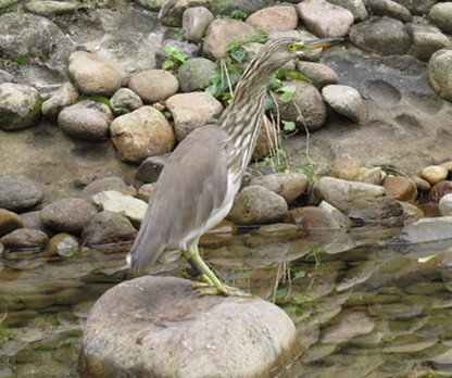 IMG_0541_副本.jpg
