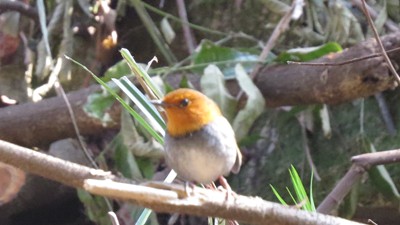 IMG_0829_副本.jpg