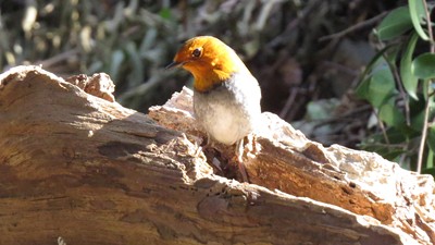IMG_0804_副本.jpg