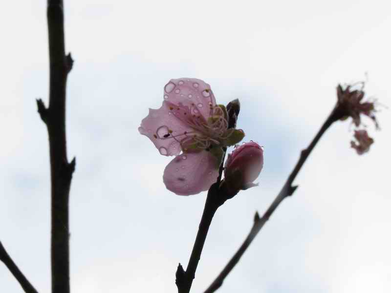 IMG_5085.jpg