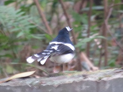 IMG_1348_副本.jpg