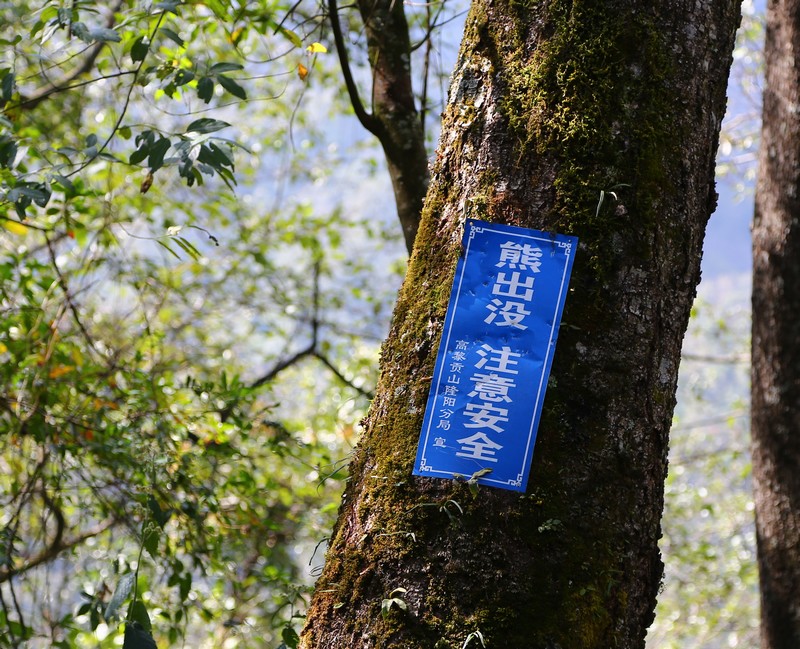 百17.jpg