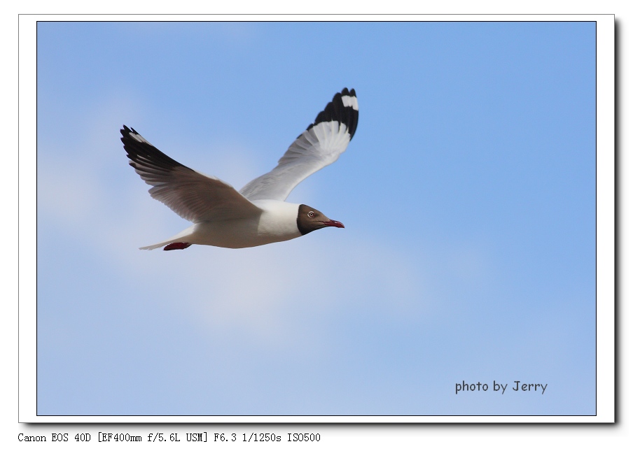 IMG_8935_nEO_IMG.jpg