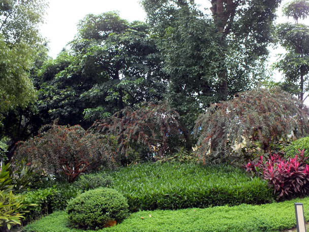 DSCF19540.jpg