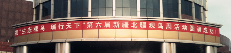 条幅.jpg
