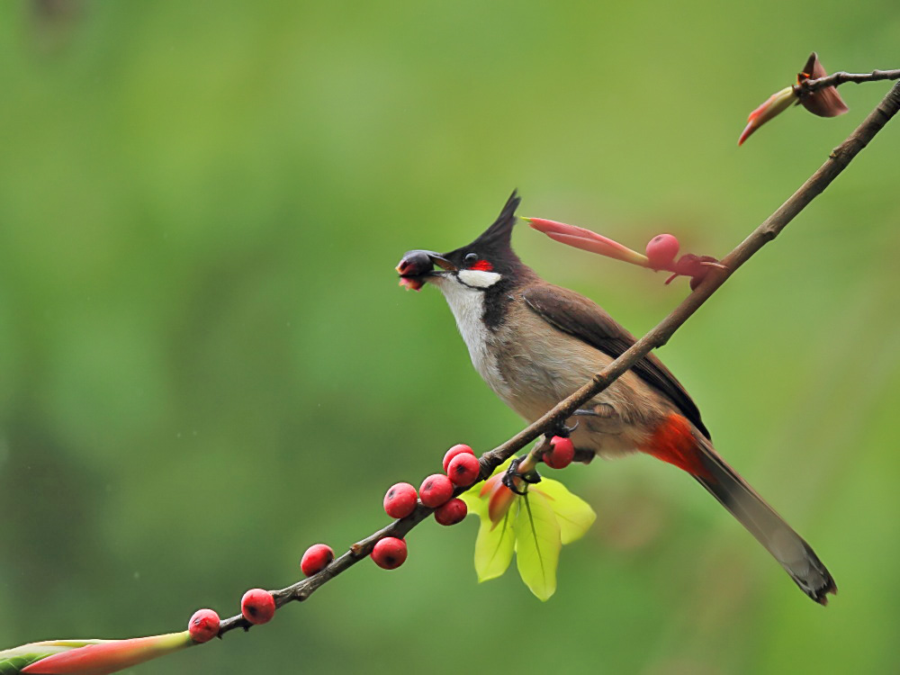 DPP_1204-1.jpg
