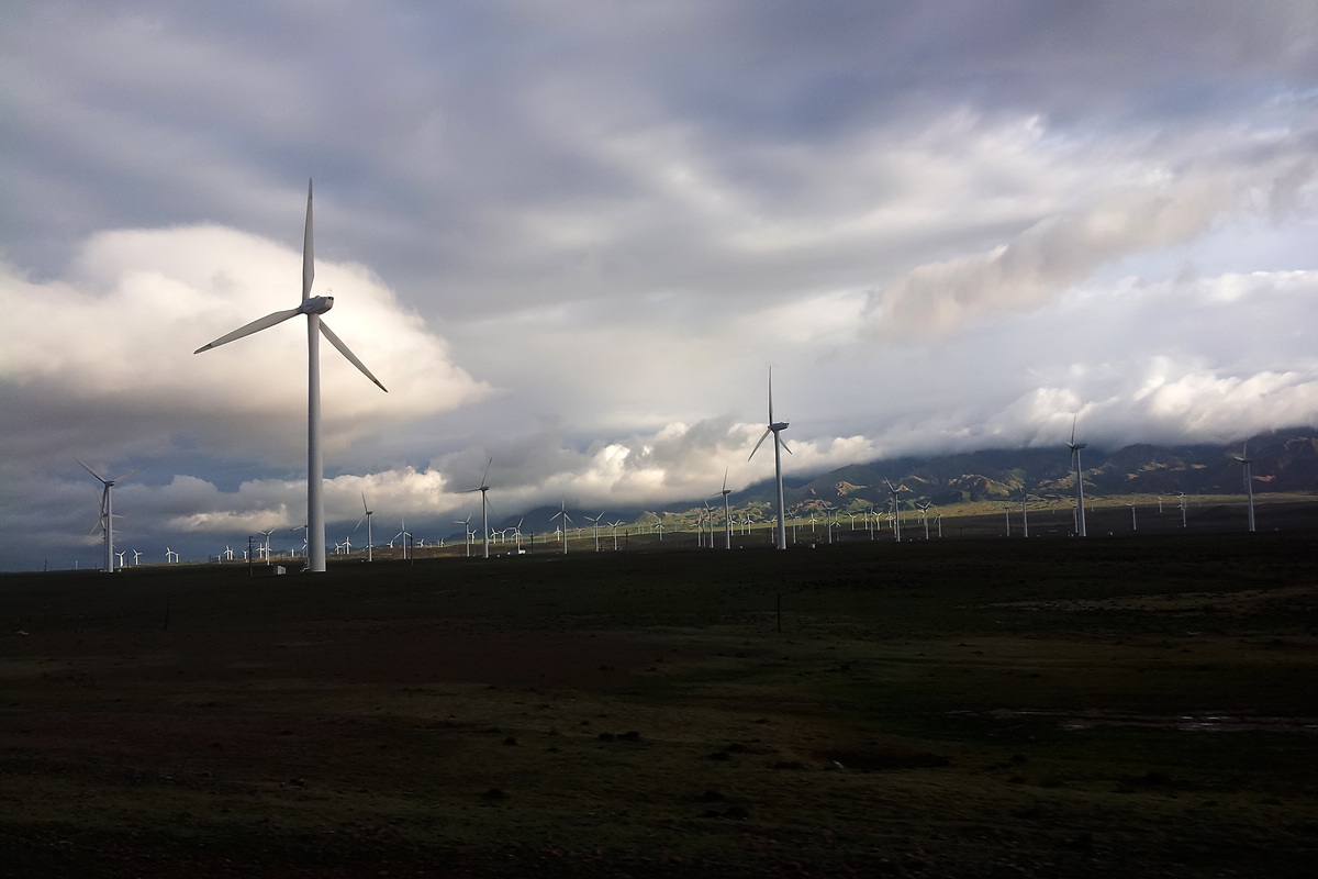 20130605_074102.jpg