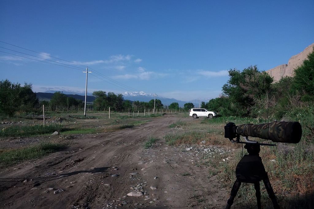 20130604_083745.jpg