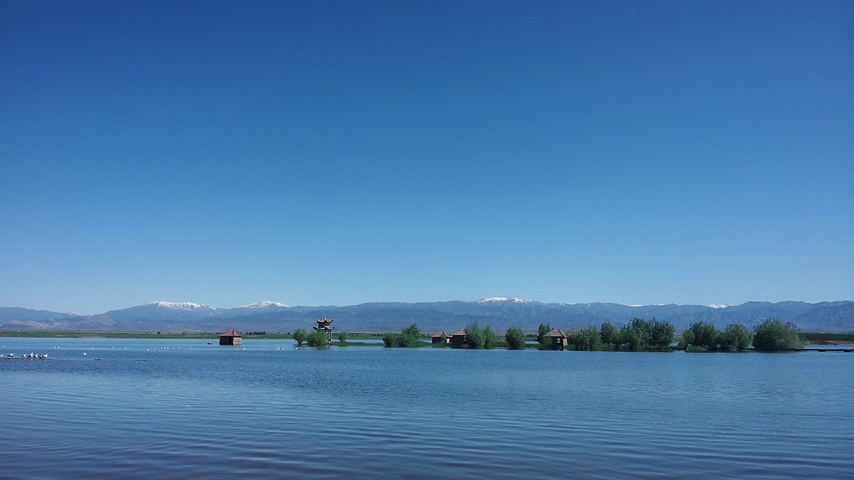 20130608_111050.jpg
