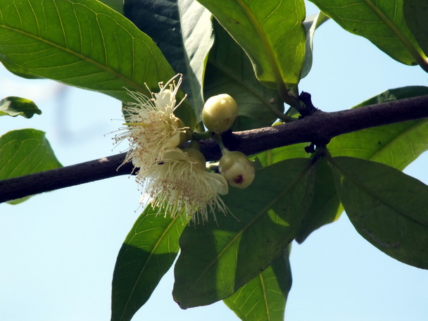 DSCF4811-0.jpg