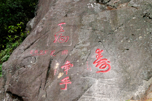 花圃2.jpg