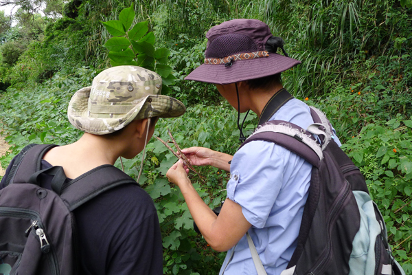 植物求名4-2.jpg