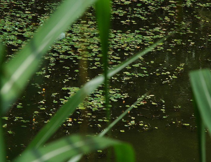 DSC_6054_副本.jpg