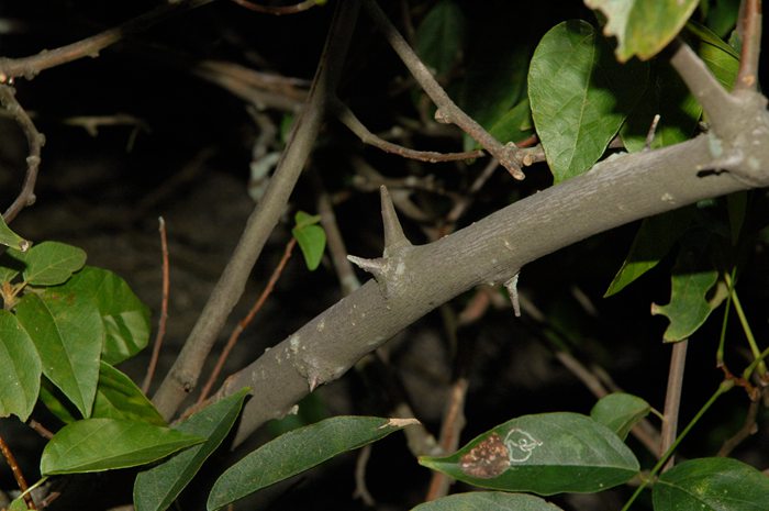 DSC_6220_副本.jpg