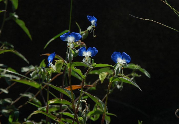 DSC_6159_副本.jpg