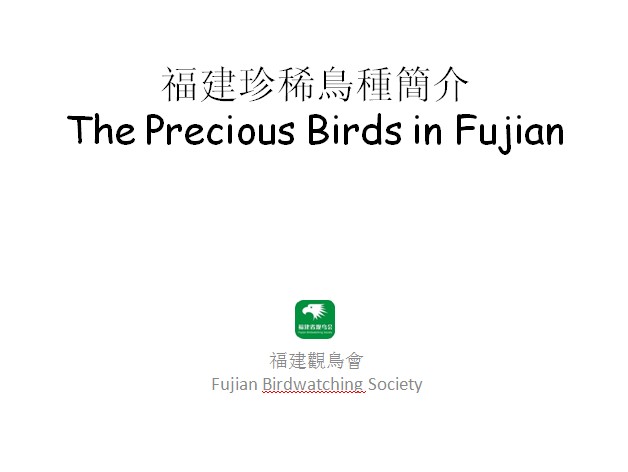 ppt01.jpg
