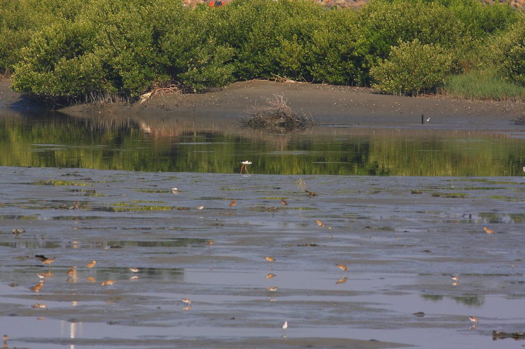 tainan026.JPG