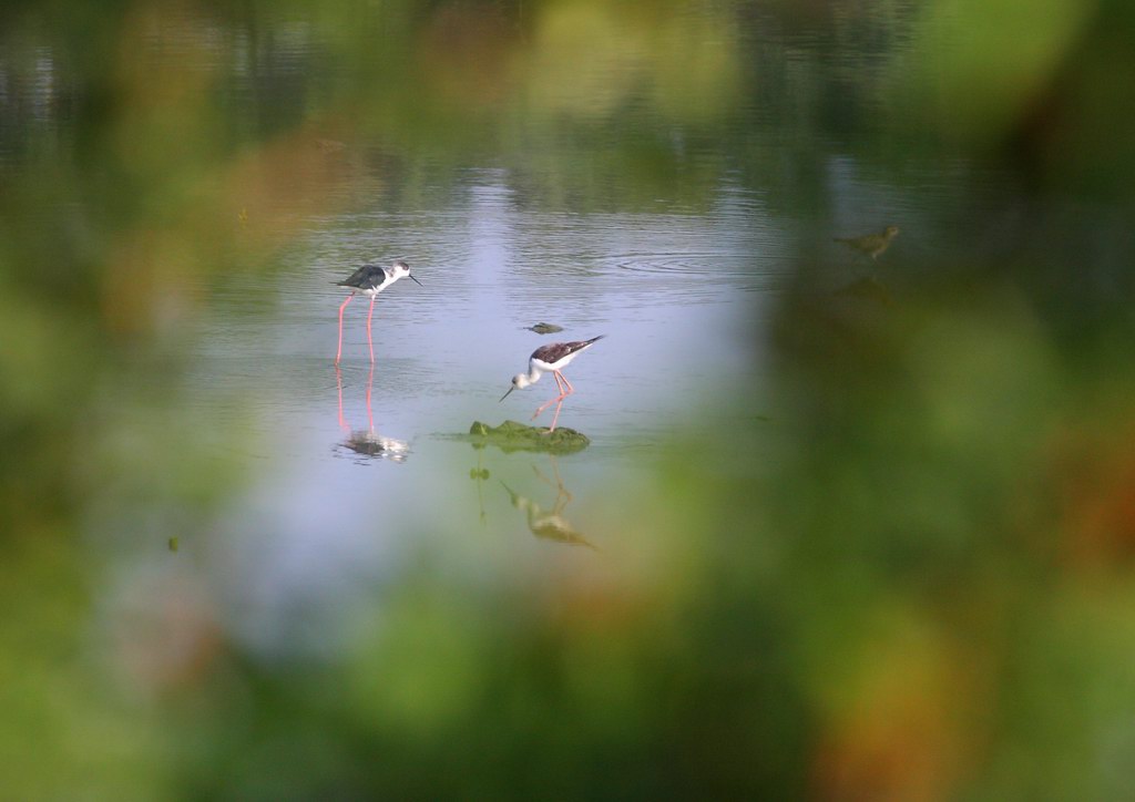 tainan035.JPG
