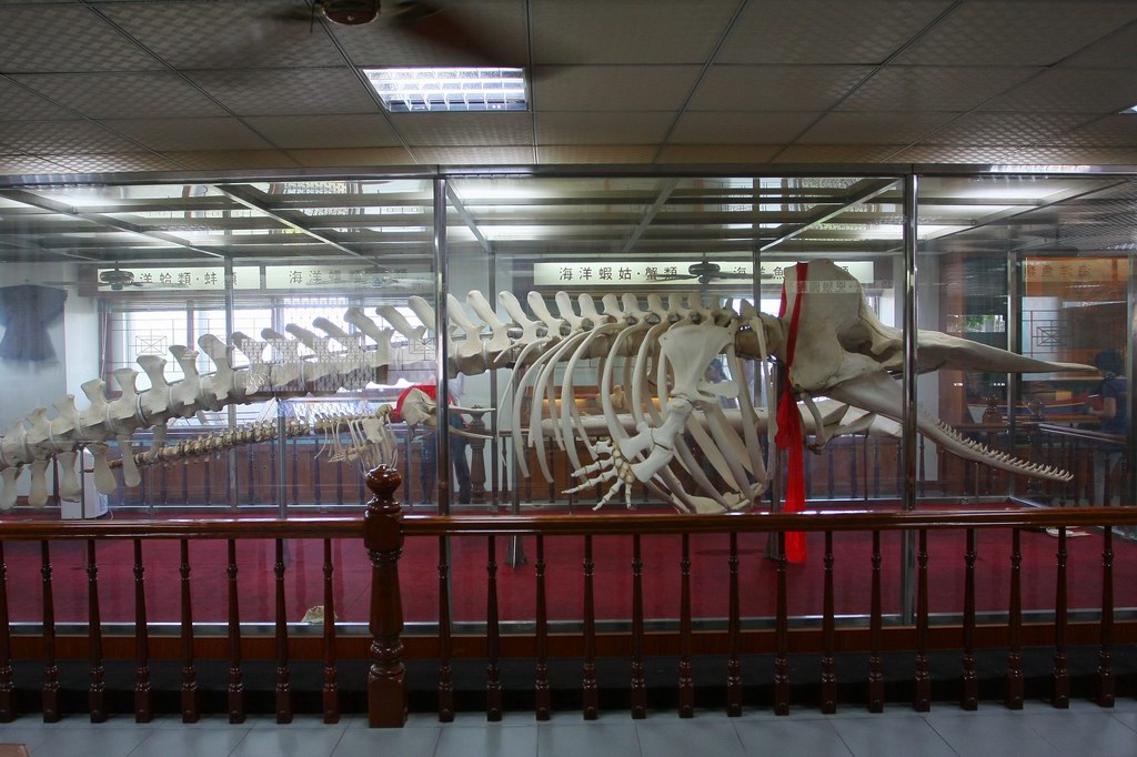 Ĳ013.JPG