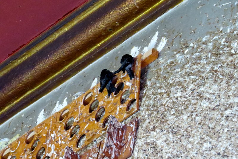 n20.jpg