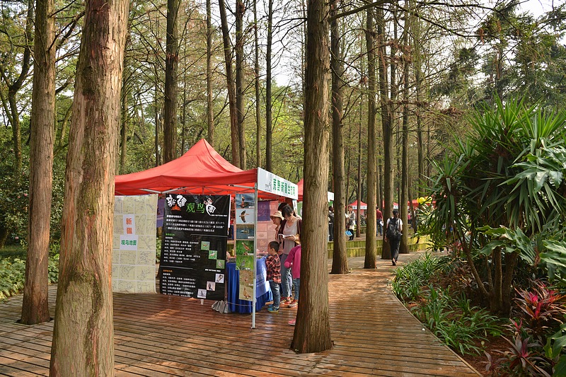 DSC_4405.jpg