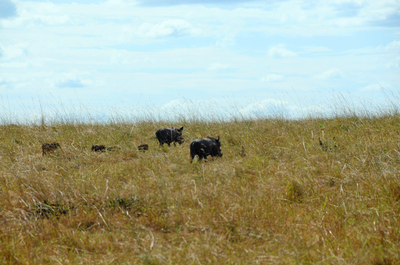 DSC_3747.JPG