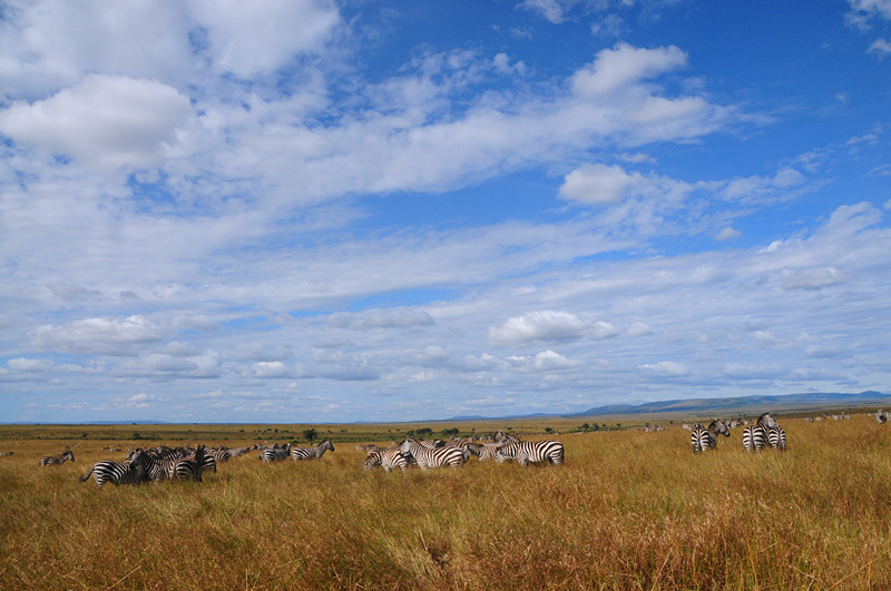 DSC_3753.JPG
